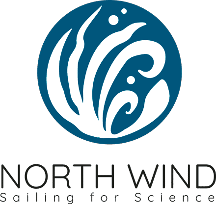 North Wind